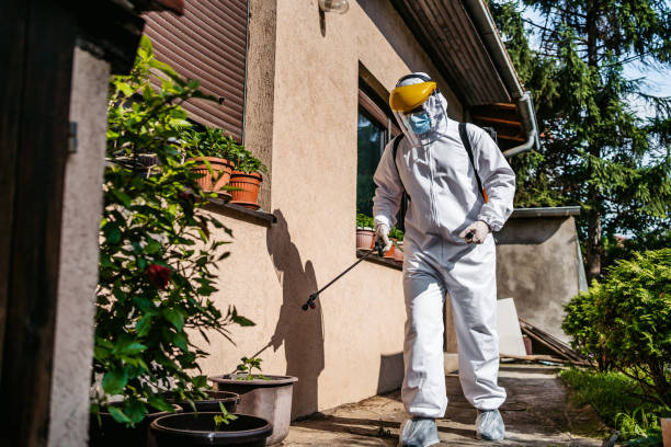 Wildlife Control Services in Danville, IL