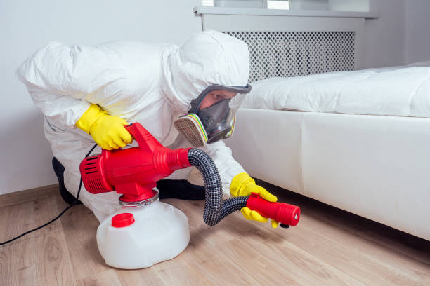 Best Rat Extermination Near Me  in Danvle, IL