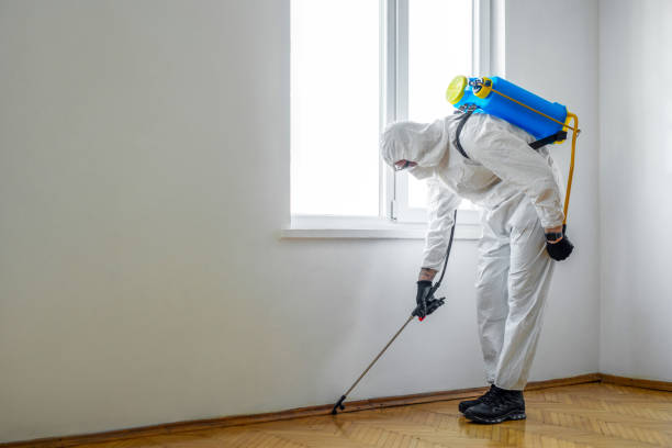 Best Termite Control Services  in Danvle, IL