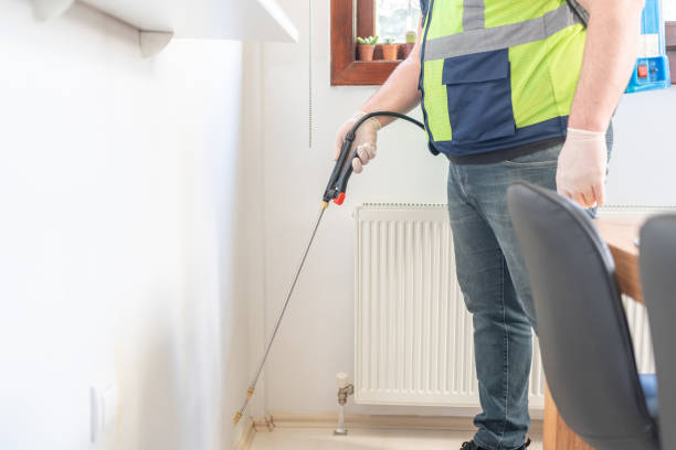 Best Local Pest Control Services  in Danvle, IL