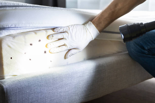 Best Wildlife Control Services  in Danvle, IL