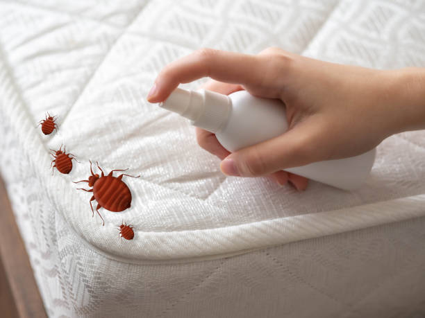 Best Exterminator Services  in Danvle, IL