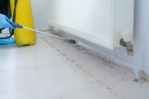 Best Ant Control Services  in Danvle, IL