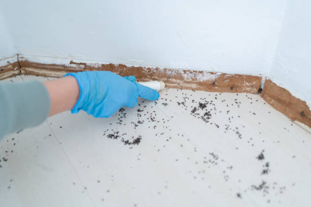 Best Pest Removal Services  in Danvle, IL