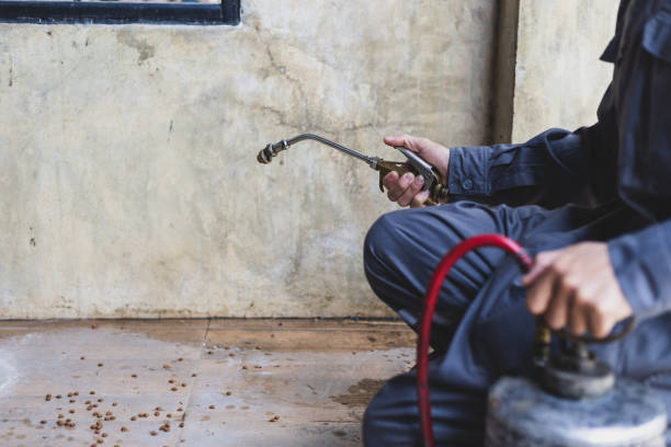 Best Pest Control Treatment  in Danvle, IL